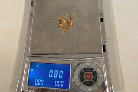 Novo adding more nuggets to Pilbara conglomerate play