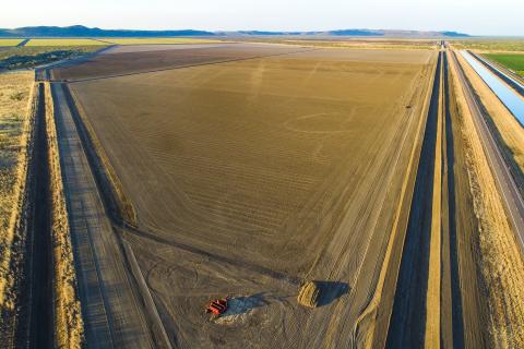 MG Corporation signs MOU with Cubbie