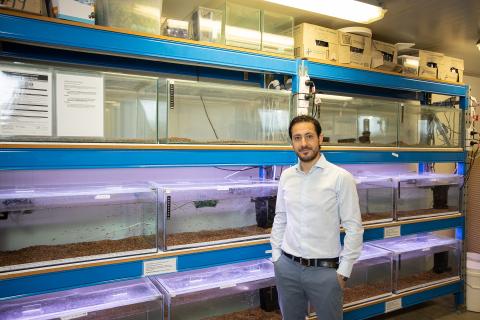 AI fish robots to defend ecosystems