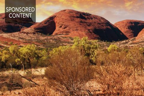 Study debunks cancer myths