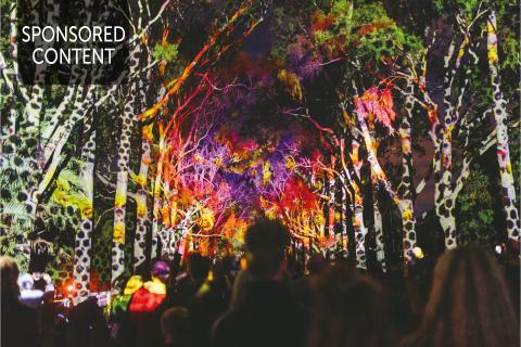 Cultural vibrancy delivers sustainable growth and wellbeing