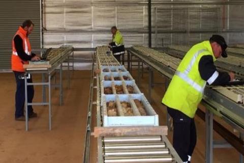 More solid gold numbers at Davyhurst for Ora Banda Mining