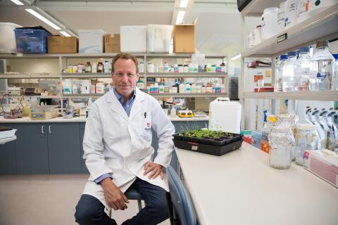 Medicinal cannabis IPOs seek $18m