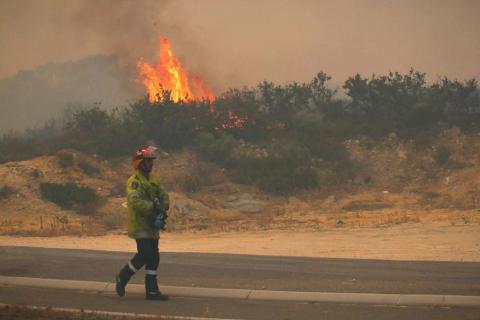 Truckies face 'crippling' losses as bushfires worsen