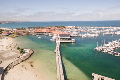 MCS, Wilson win $4m in security contracts