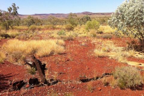 Flinders seeks $14.5m