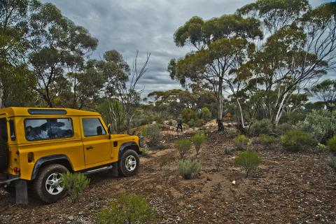 Lithium Australia to drill test Lake Johnston pegmatite swarm