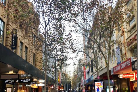 Property Council WA supports efforts to ease virus pain