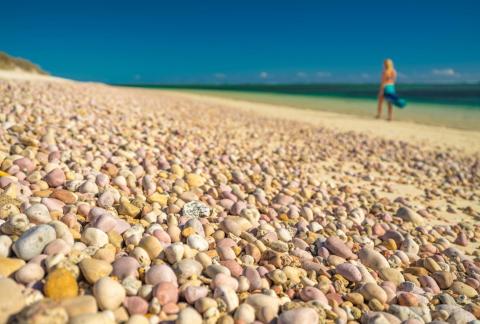 Regional MP urges travellers to stay home