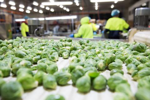 Emergency flights to restart farm exports