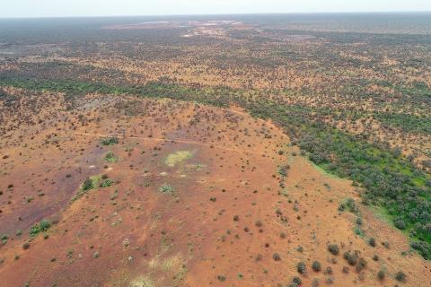 Hammer doubles strike length of gold footprint at North Orelia