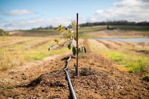 Alterra strikes deal to channel family office money into ag investments