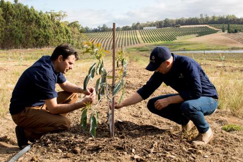 Agriculture emerges as safe haven