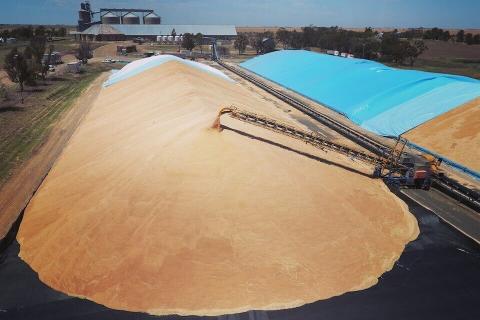 Farm sector goes against the grain