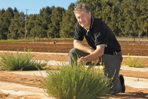 Lifelong pursuit of productivity