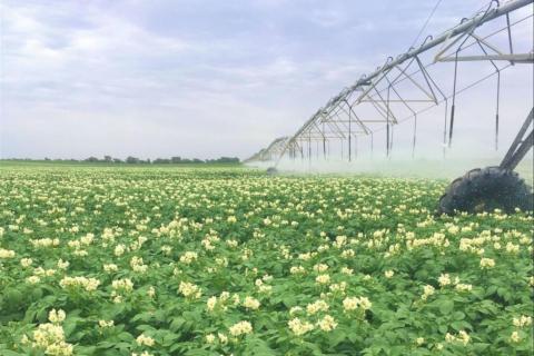 Primewest launches $100m agricultural trust