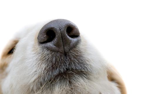 Sensing out a new future