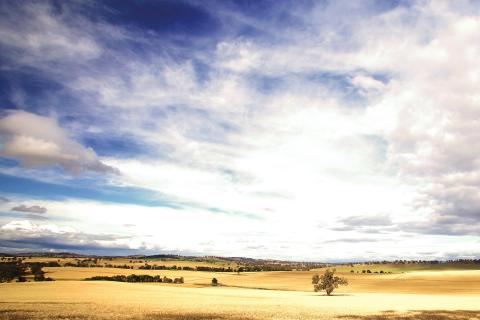 Graincorp swings to bumper HY profit