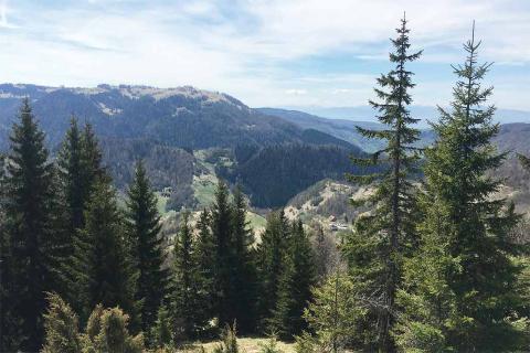 Adriatic secures key environmental permit in Bosnia