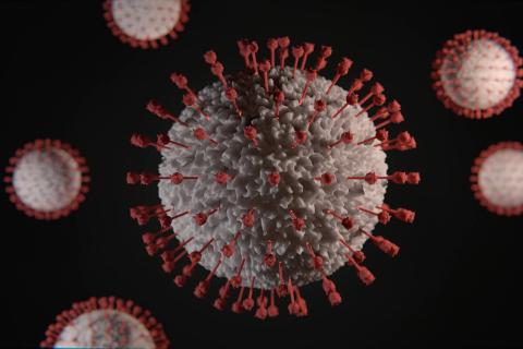 COVID-19 Wrap: No new cases, one recovery overnight