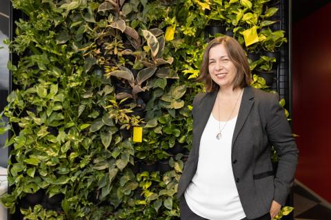 Getting a grip on a moving market