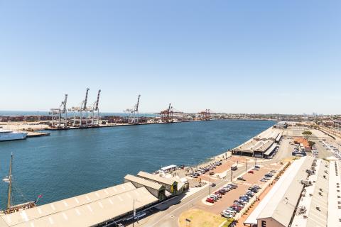 Sheep bound for virus ship to stay in WA