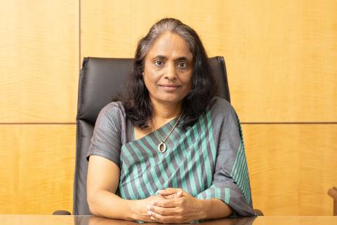 Electric potential in India