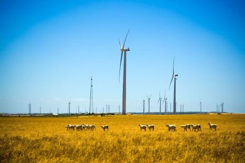 Infigen board backs $864m Iberdrola offer