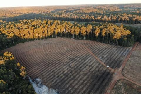 Water key for Alterra to deliver on Avocado strategy