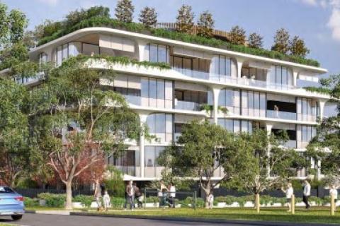 Louise Street to reach new heights