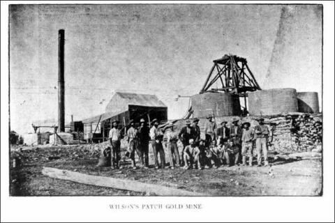 Terrain completes land puzzle at Wildviper gold project