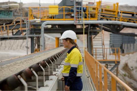 Albemarle positioned for Greenbushes buy