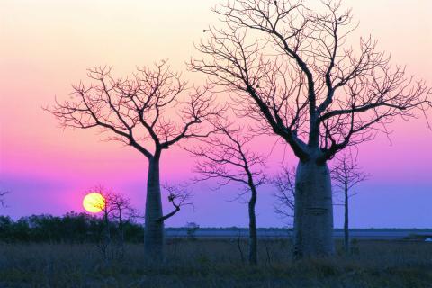 Regional authorities seek unique edge