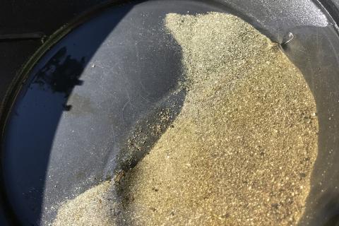 Accelerate shares up on exploration review