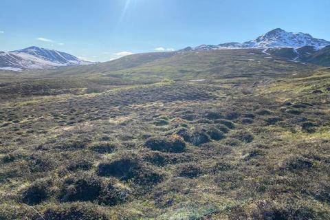 Drilling imminent at PolarX US copper-gold play