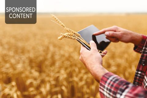 Championing our regional knowledge economies