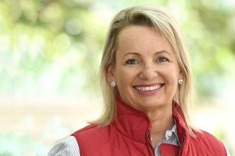 Environmental protection law 'ineffective', review finds