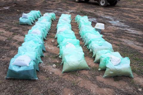 Impact drilling high-grade palladium targets at Broken Hill