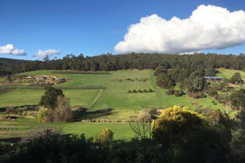 To the hills and far away