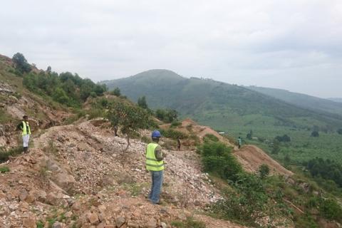 Carnavale in gold buy