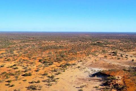 Shell in carbon farming buy