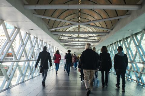 Jobless rate to spike further: CCI