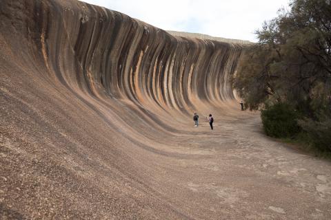 Go for a "Wander": Charles Kobelke