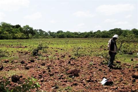 Lindian to pick up transformational bauxite assets in Guinea