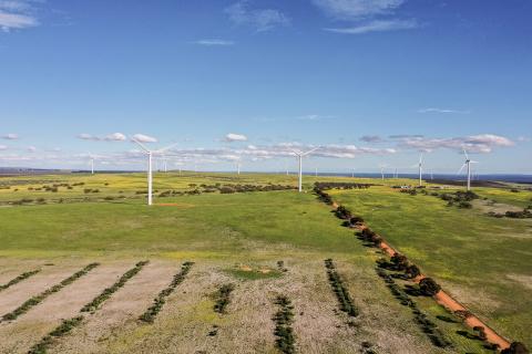 Technology put at heart of emissions cuts