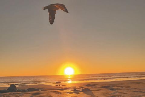 Facing a COVID crossroad