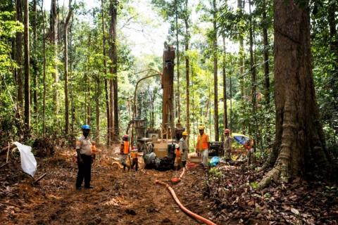 Troy bags multiple spectacular hits at South America gold play