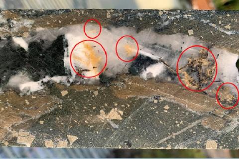 Epic gold strike for Troy in South America