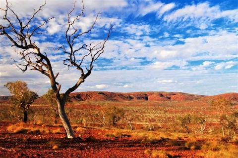 Caeneus nails down Pilbara drill targets