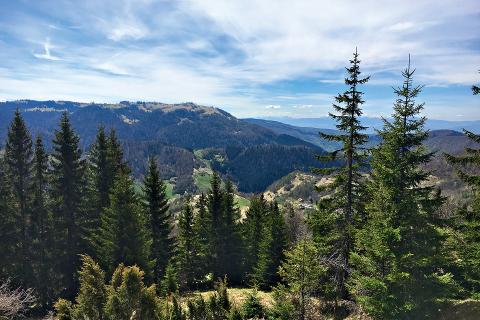 Adriatic tops up coffers for DFS on Vares silver project